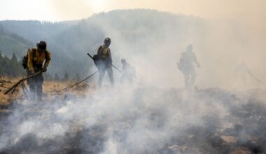 Lawyers: firefighter arrested by immigration authorities was in US legally