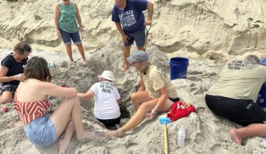 Hurricane Erin didn't cause major damage, but turtle nests weren't so lucky