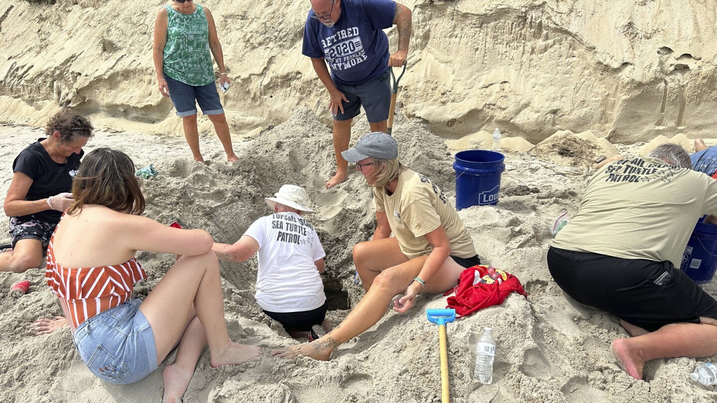 Hurricane Erin didn't cause major damage, but turtle nests weren't so lucky