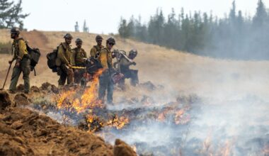 Firefighters detained by Border Patrol during Olympic Peninsula blaze