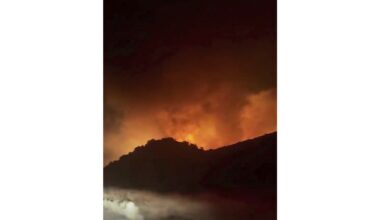 Firefighters battle fast-moving blaze near Los Angeles