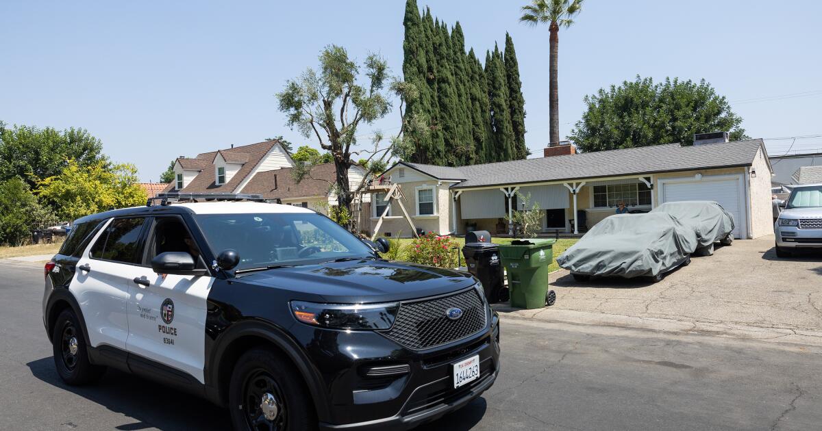 L.A. touts using unarmed civilians over cops for some emergencies