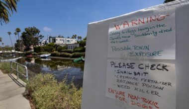 Column: The Venice canals were dog heaven. Now they're a dog danger