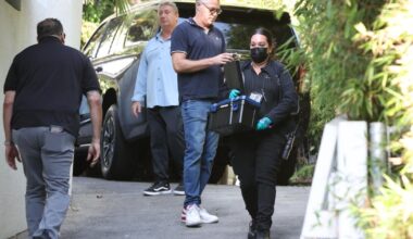Four arrested in break-in at Brad Pitt’s home, sources say