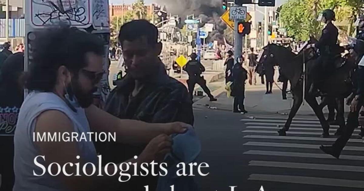 Sociologists are concerned about L.A. citizens during a year of unrest