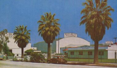 Commentary: Prepare to say a frond farewell to Los Angeles’ palm trees