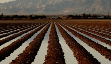 This reader had a crop-picking job as a teen. He lasted only a week