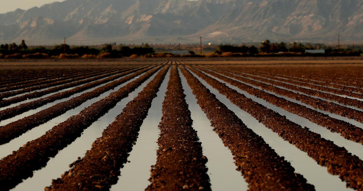 This reader had a crop-picking job as a teen. He lasted only a week