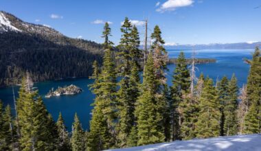 California plague case believed to be caused by South Lake Tahoe flea