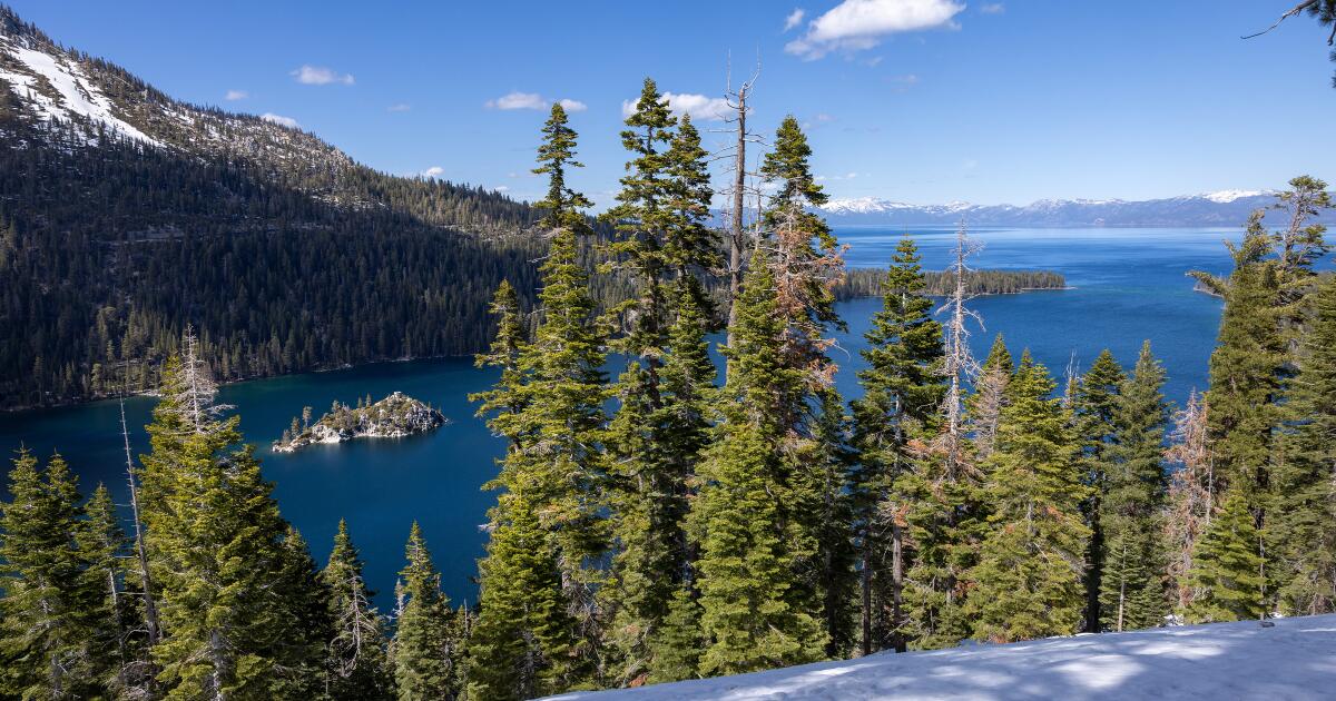California plague case believed to be caused by South Lake Tahoe flea