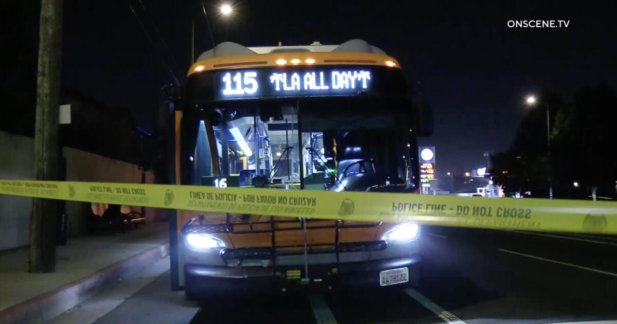 Woman, 18, gunned down on Metro bus near LAX; suspect flees