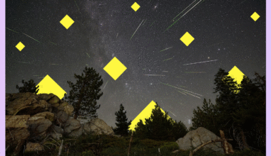 How to view the Perseids and other meteor showers near L.A.