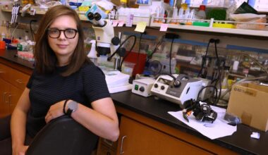 How UCLA's research faculty is grappling with Trump funding freeze