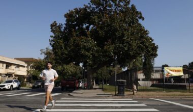Contributor: It's no wonder Angelenos are painting crosswalks themselves