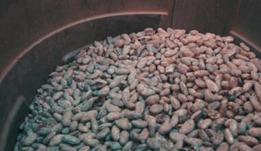 San Diego chocolate shop struggles with rising cocoa costs