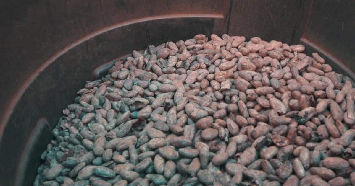 San Diego chocolate shop struggles with rising cocoa costs