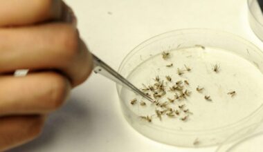 Chicago reports first human cases of West Nile virus for 2025