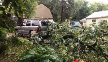 Storm knocks out power, trees in McHenry County on Saturday