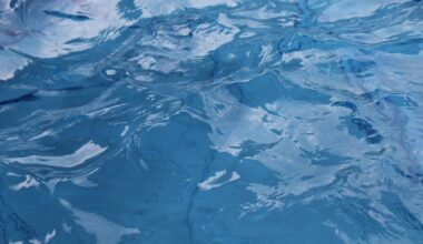 A 9-year-old child is in critical condition after being found unconscious in a backyard pool....