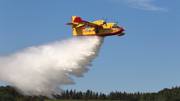 Total fire ban in effect for Kawartha Lakes as crews battle 'significant' forest fire