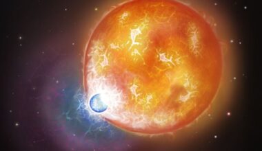 An artist's illustration (not to scale) of a white dwarf merging with a much larger star. These mergers could be what produces ultra-massive white dwarfs. Image Credit: Snehalata Sahu/University of Warwick