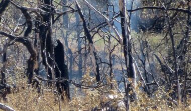 Crews are wrapping up suppression efforts on the White Sage Fire in northern Arizona....