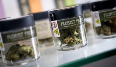 Marijuana shops sue New York after they were allowed to open too close to schools
