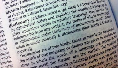 Cambridge Dictionary adds 'skibidi' and 'tradwife' among 6,000 new words
