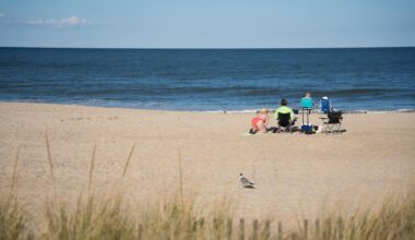 Swimmers face fecal contamination at beaches along US coastline
