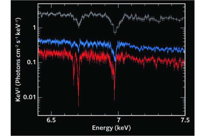 XRISM unveils hot gas and its dynamic activity around a black hole in the faintest state