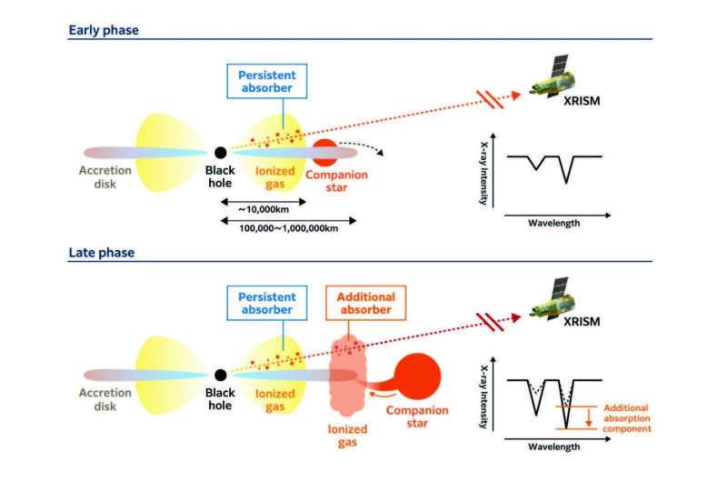 XRISM unveils hot gas and its dynamic activity around a black hole in the faintest state