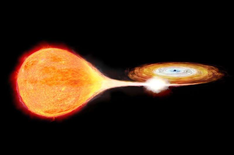 XRISM unveils hot gas and its dynamic activity around a black hole in the faintest state