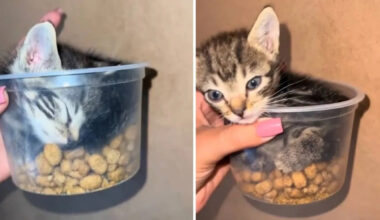 The Internet Bestowed Upon Us These Hilarious, Adorable, And Interesting Gems This Week