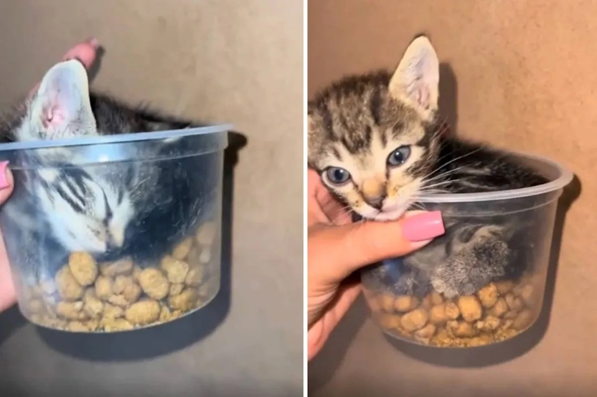The Internet Bestowed Upon Us These Hilarious, Adorable, And Interesting Gems This Week