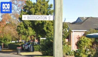 Police praise bystanders for helping girl injured in dog attack near Newcastle