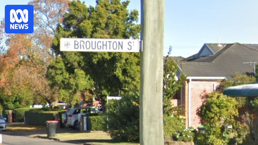 Police praise bystanders for helping girl injured in dog attack near Newcastle