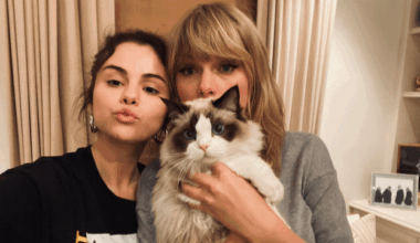 Yahoo entertainment home