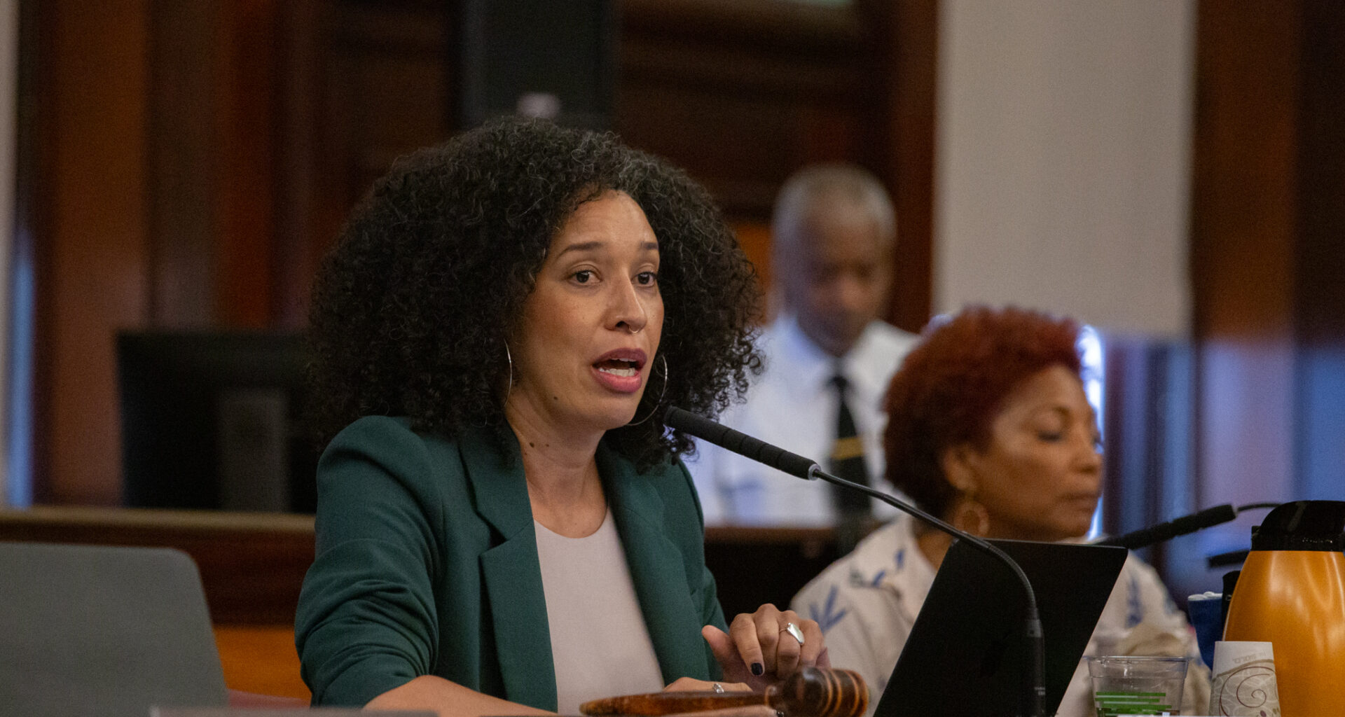 Housing Advocates Target City Council’s Power to Kill Development