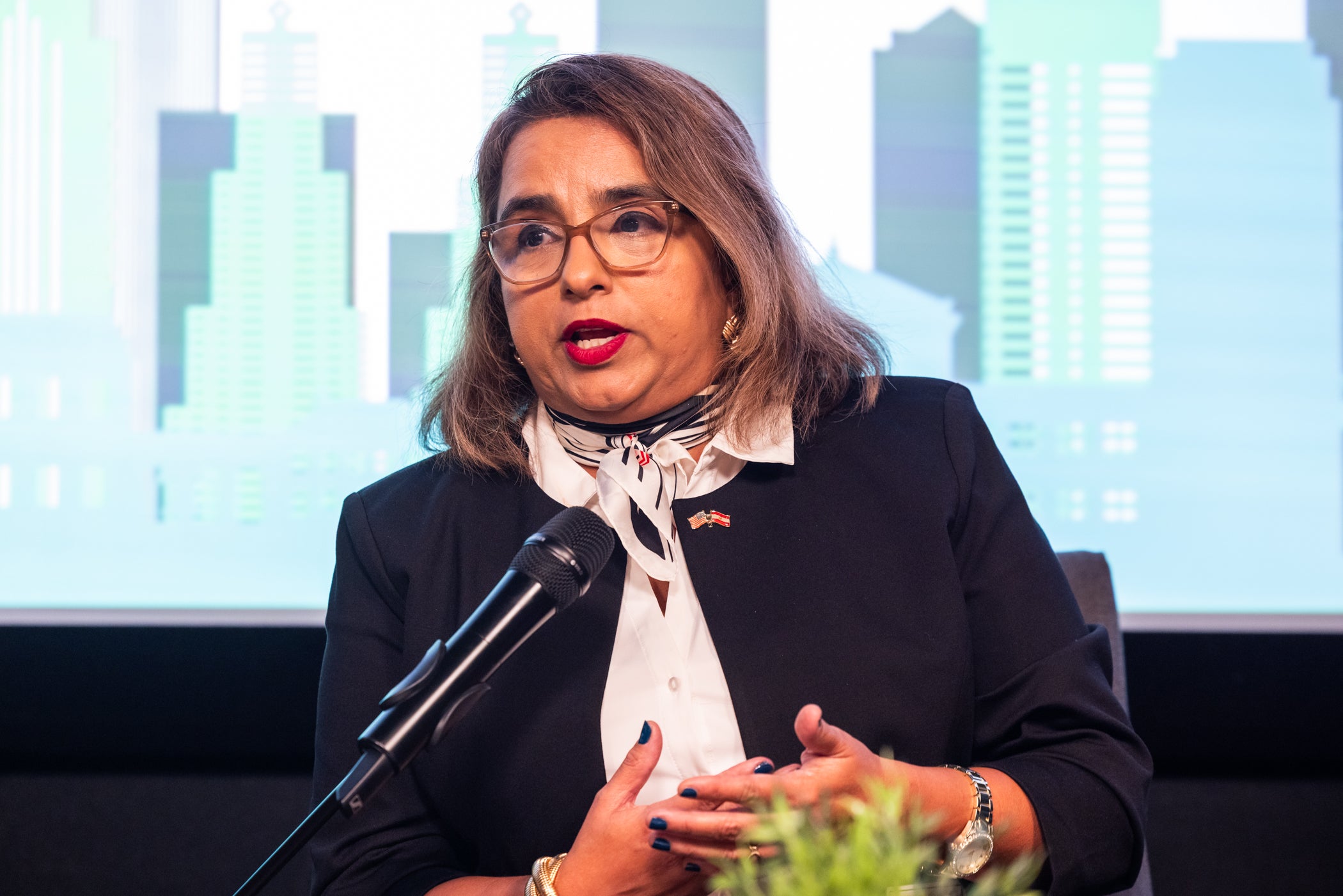 Nelly Jiménez-Arévalo speaking during the panel discussion