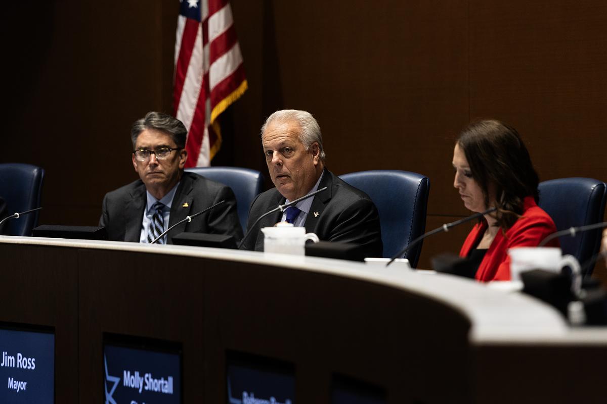 Arlington City Council changes business program to comply with federal anti-DEI directives