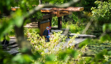Lincoln Park’s Alfred Caldwell Lily Pool Reopens After Years Of Renovation