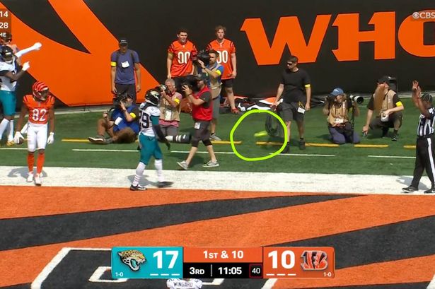 The sex toy landed in the end zone after the Bengals scored a touchdown early in the third quarter