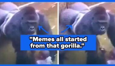 If You Were Around For These 17 Internet Moments, It's Probably Time To Start Using Retinol