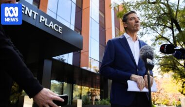 Basil Zempilas seeks to repair damage from Jacinta Nampijinpa Price remarks on Indian migrants