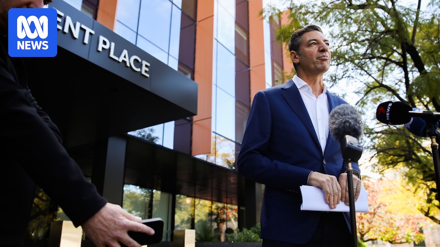 Basil Zempilas seeks to repair damage from Jacinta Nampijinpa Price remarks on Indian migrants