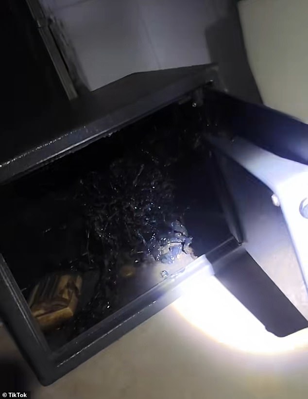 Kin claims that the substance has continued to grow, now taking up almost an entire safe