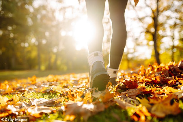 Japanese Interval Walking is the latest TikTok fitness method