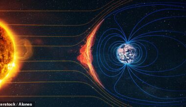 Earth's magnetic field acts like an invisible shield which blocks out radiation and other harmful particles from space (Stock Image)