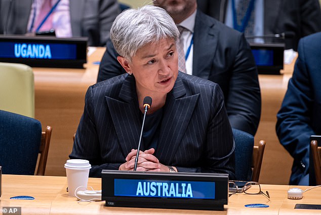 Penny Wong (pictured at the UN) warned that AI, if left unchecked, could lead to nuclear war