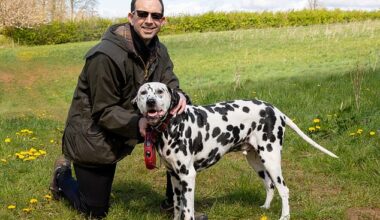 Jon Reeves was diagnosed wth osteoarthritis in 2020. By combining acupuncture, weight training and a Mediterranean-style diet, he slashed his pain level and postponed surgery